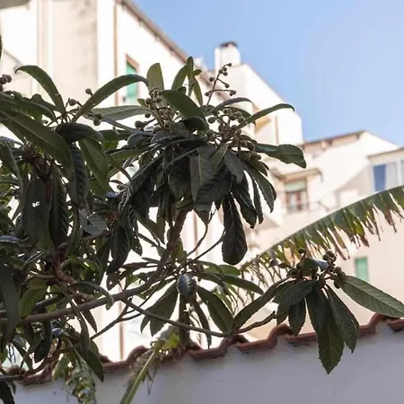 G10 公寓 阿尔盖罗