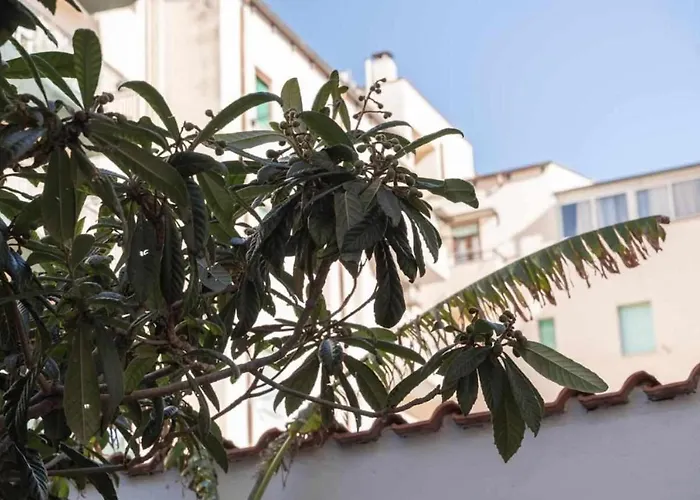 G10 公寓 阿尔盖罗