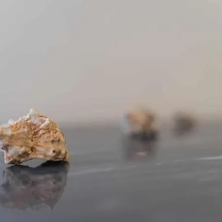 G10